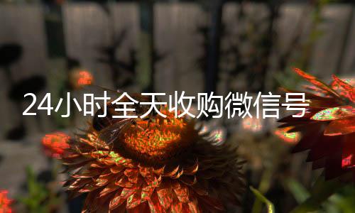 24小时全天收购微长期收购微信号信号（出售微信24小时在线回收）